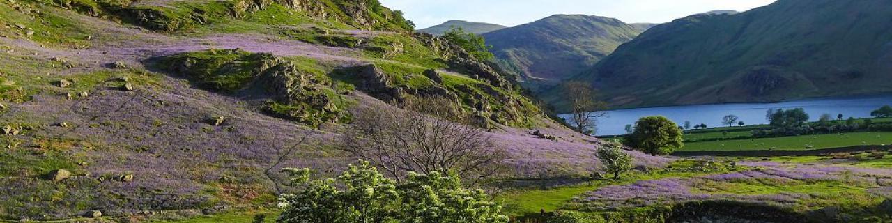 Rannerdale